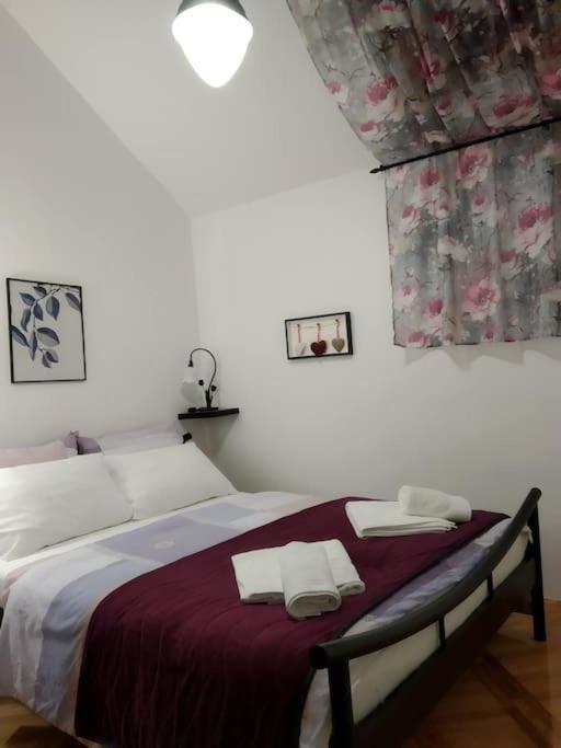 Alex Apartment Zemun Buitenkant foto